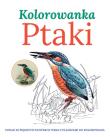 Okładka książki Ptaki Kolorowanka