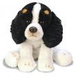 Opakowanie Siedzący King Charles Spaniel 13cm SUKI