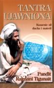 Tantra ujawniona. Autor: Pandit Rajmani Tigunait. Dadada.pl Okładka książki Tantra ujawniona