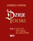 Dzieje Polski Tom 2 1202-1340 Od rozbicia do nowej Polski. Autor: Andrzej Nowak. Dadada.pl Okładka książki Dzieje Polski Tom 2 1202-1340 Od rozbicia do nowej Polski