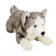 Okładka książki Husky 35 cm leżący