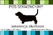 Opakowanie Pies sekwencyjny. Sekwencje słuchowe