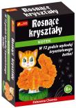 Opakowanie Rosnące kryształy. Kotek