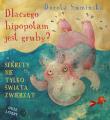 Dlaczego hipopotam jest gruby?. Autor: Sumińska Dorota. Dadada.pl Okładka książki Dlaczego hipopotam jest gruby?
