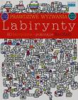 Prawdziwe wyzwania: Labirynty. Autor: Neradova Maria, Ebert Andrea. Dadada.pl Okładka książki Prawdziwe wyzwania: Labirynty