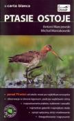 Ptasie ostoje. Autor: Marczewski Antoni, Maniakowski Michał. Dadada.pl Okładka książki Ptasie ostoje