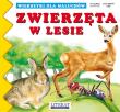 Zwierzęta w lesie. Autor: Paruszewska Joanna, Stocka Katarzyna. Dadada.pl Okładka książki Zwierzęta w lesie