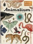 Animalium. Autor: Broom Jenny. Dadada.pl Okładka książki Animalium