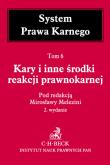 Opakowanie Kary i inne środki reakcji prawnokarnej System Prawa Karnego Tom 6