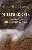 Okładka książki Miłosierdzie. Wyobraźnia zamieniona w czyn