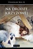 Na drodze krzyżowej. Autor: ks. Stanisław Biel, Frydzińska-Świątczak Lidia. Dadada.pl Okładka książki Na drodze krzyżowej
