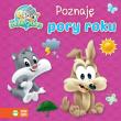 Okładka książki Poznaję pory roku Baby Looney Tunes