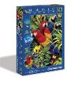 Opakowanie Puzzle 1000 Magic 3D Papugi
