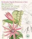 Okładka książki Rośliny egzotyczne