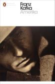 Amerika. Autor: Franz Kafka. Dadada.pl Okładka książki Amerika