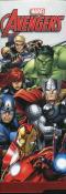 Opakowanie Bidon aluminiowy Avengers