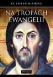 Na tropach Ewangelii. Autor: Misiniec Stefan. Dadada.pl Okładka książki Na tropach Ewangelii