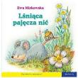 Okładka książki 101 bajek - Lśniąca pajęcza nić