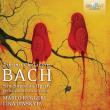J. C. Bach: Sonatas For Harpsichord And Violin. Autor: Marco Ruggeri, Lina Uinskyte. Dadada.pl Okładka książki J. C. Bach: Sonatas For Harpsichord And Violin