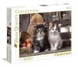 Opakowanie Puzzle 1000 HQ Lovely Kittens