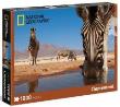 Opakowanie Puzzle 1000 National Geographic A Zebra drinks...