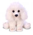 Opakowanie Siedzący Biały Pudel 13 cm SUKI