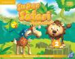 Super Safari 2 Pupil's Book + DVD. Autor: Puchta Herbert, Gerngross Günter, Lewis-Jones Peter. Dadada.pl Okładka książki Super Safari 2 Pupil's Book + DVD