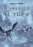 Wyprawa po klucz. Autor: Borkowska Małgorzata. Dadada.pl Okładka książki Wyprawa po klucz