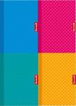 Opakowanie Zeszyt A5/16K kratka 1074 Pastele (20szt)