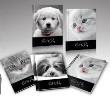Opakowanie Zeszyt A5/32K linia 1068 Cat&Dog (10szt)