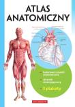 Atlas anatomiczny. Autor: Opracowanie zbiorowe. Dadada.pl Okładka książki Atlas anatomiczny