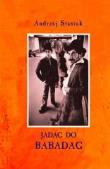 Jadąc do Babadag. Autor: Andrzej Stasiuk. Dadada.pl Okładka książki Jadąc do Babadag