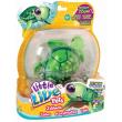 Opakowanie Little Live Pets Żółwik interaktywny digi