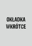 Ocena bezpieczeństwa sieci. Autor: Chris McNabb. Dadada.pl Okładka książki Ocena bezpieczeństwa sieci