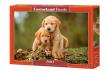 Opakowanie Puzzle 500 Puppy Love CASTOR