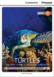 Turtles: Ancient Symbol/Modern Survivor. Autor: Schreyer Karmel. Dadada.pl Okładka książki Turtles: Ancient Symbol/Modern Survivor