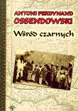 Wśród czarnych - Antoni F. Ossendowski. Autor: Ossendowski Antoni Ferdynand. Dadada.pl Okładka książki Wśród czarnych - Antoni F. Ossendowski