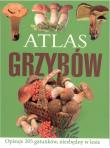 Atlas grzybów BR. Autor: Sławomir Sokół. Dadada.pl Okładka książki Atlas grzybów BR