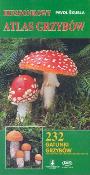 Kieszonkowy atlas grzybów. Autor: Skubla Pavol. Dadada.pl Okładka książki Kieszonkowy atlas grzybów