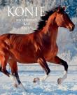 Konie Pochodzenie Rasy Cechy/SBM. Autor: Patrycja Zarawska, Walkowicz Ewa. Dadada.pl Okładka książki Konie Pochodzenie Rasy Cechy/SBM
