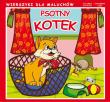 Psotny kotek. Wierszyki dla maluchów. Autor: Pruchnicki Krystian. Dadada.pl Okładka książki Psotny kotek. Wierszyki dla maluchów