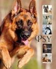 Psy. Autor: Matoga Karolina. Dadada.pl Okładka książki Psy