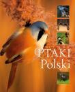 Ptaki Polski. Autor: Matoga Karolina. Dadada.pl Okładka książki Ptaki Polski