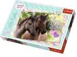 Opakowanie Puzzle 260 Kochamy konie TREFL