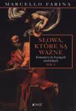Słowa które są ważne. Autor: Marcello Farina. Dadada.pl Okładka książki Słowa które są ważne