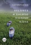 Sukienka w kolorze nocnego nieba. Autor: Karen Foxlee. Dadada.pl Okładka książki Sukienka w kolorze nocnego nieba