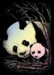 Opakowanie Wydrapywanka holograficzna mini Panda