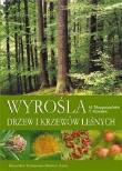 Wyrośla drzew i krzewów leśnych. Autor: Małgorzata Skrzypczyńska, Kowalski Tadeusz. Dadada.pl Okładka książki Wyrośla drzew i krzewów leśnych