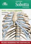 Anatomia Sobotta Flashcards Kości stawy i więzadła. Autor: Lars Brauer. Dadada.pl Okładka książki Anatomia Sobotta Flashcards Kości stawy i więzadła