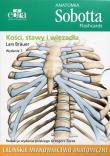 Anatomia Sobotta Flashcards Kości stawy i więzadła. Autor: Lars Brauer. Dadada.pl Okładka książki Anatomia Sobotta Flashcards Kości stawy i więzadła
